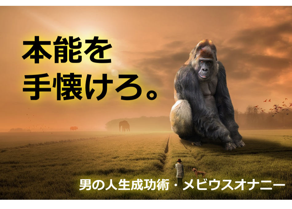 ��x���̐l�������p���r�E�X�I�i�j�[,�]�Ȋw,�r�W�l�X�Ɛ��~�G�l���M�[,�I�i��,�����Ɛl�Ԋ֌W�̊�]����,�]������,A10�_�o,���Ȍ[��,�����҂̖[���p,�����񂹂̖@��